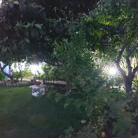Vila Casa Do Sobral Óbidos Kültér fotó