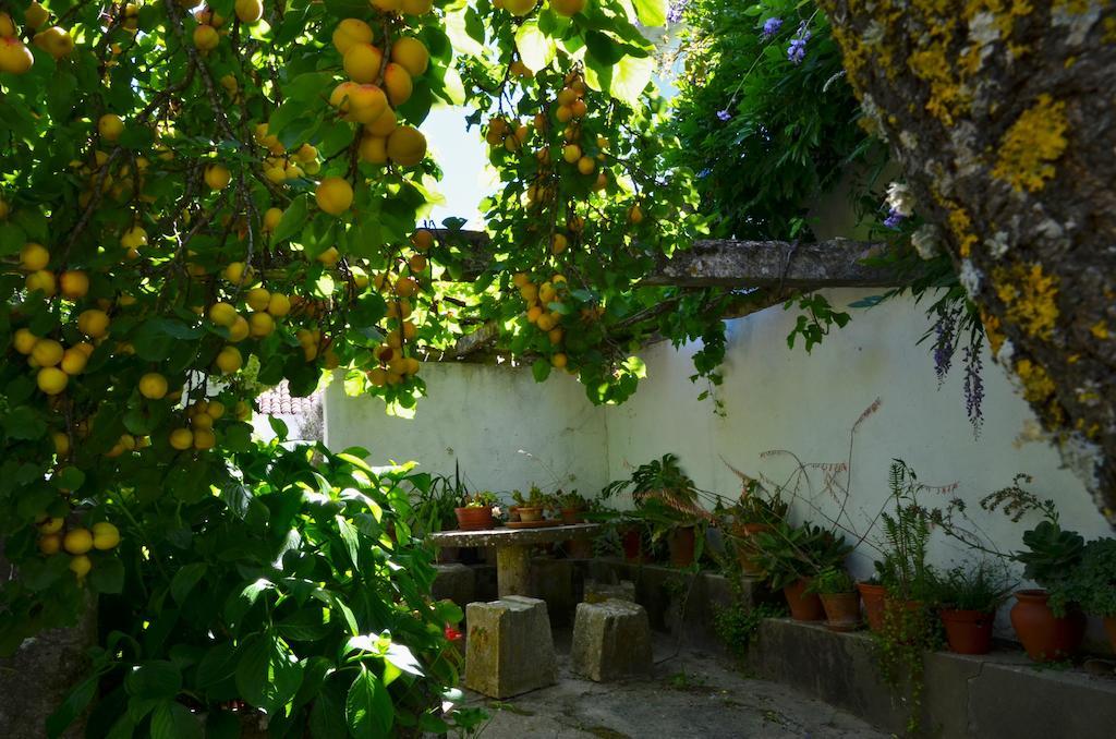 Vila Casa Do Sobral Óbidos Szoba fotó