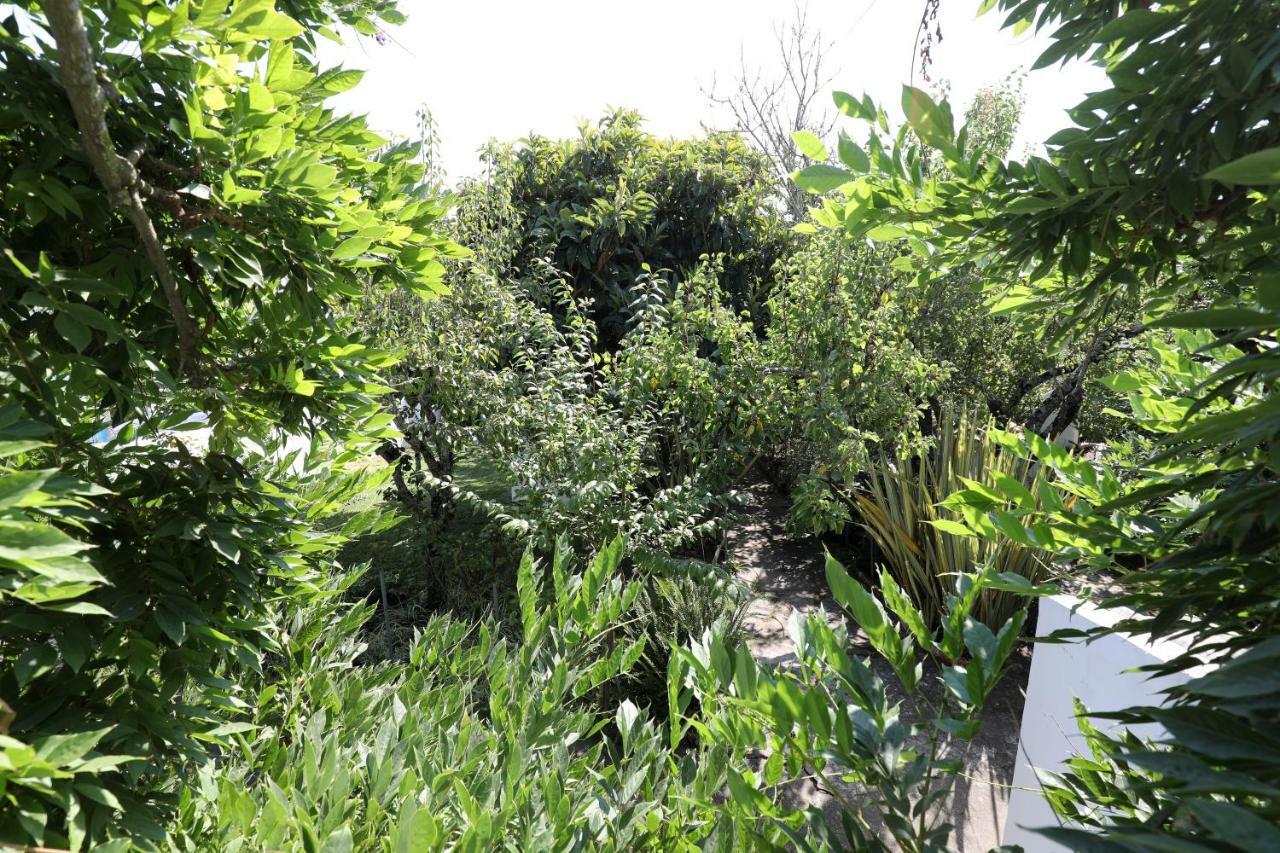 Vila Casa Do Sobral Óbidos Kültér fotó
